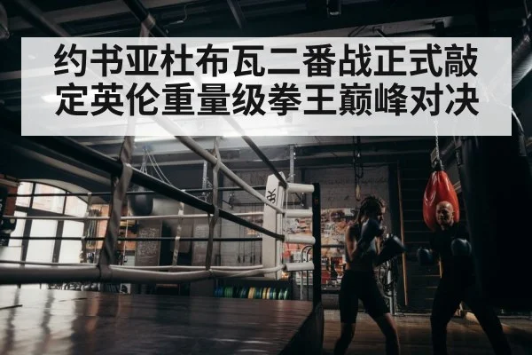 boxer training