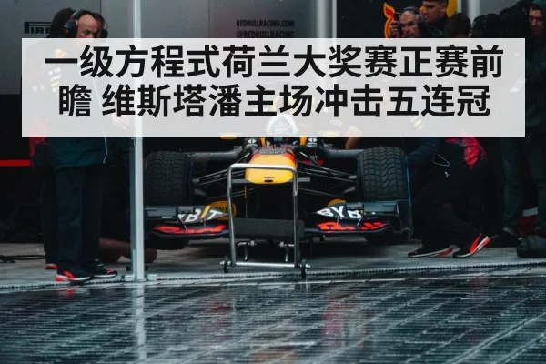 Max Verstappen Red Bull racing