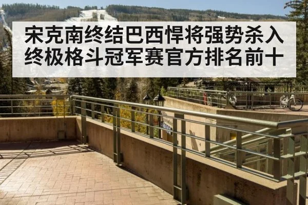 宋克南终结巴西悍将强势杀入终极格斗冠军赛官方排名前十